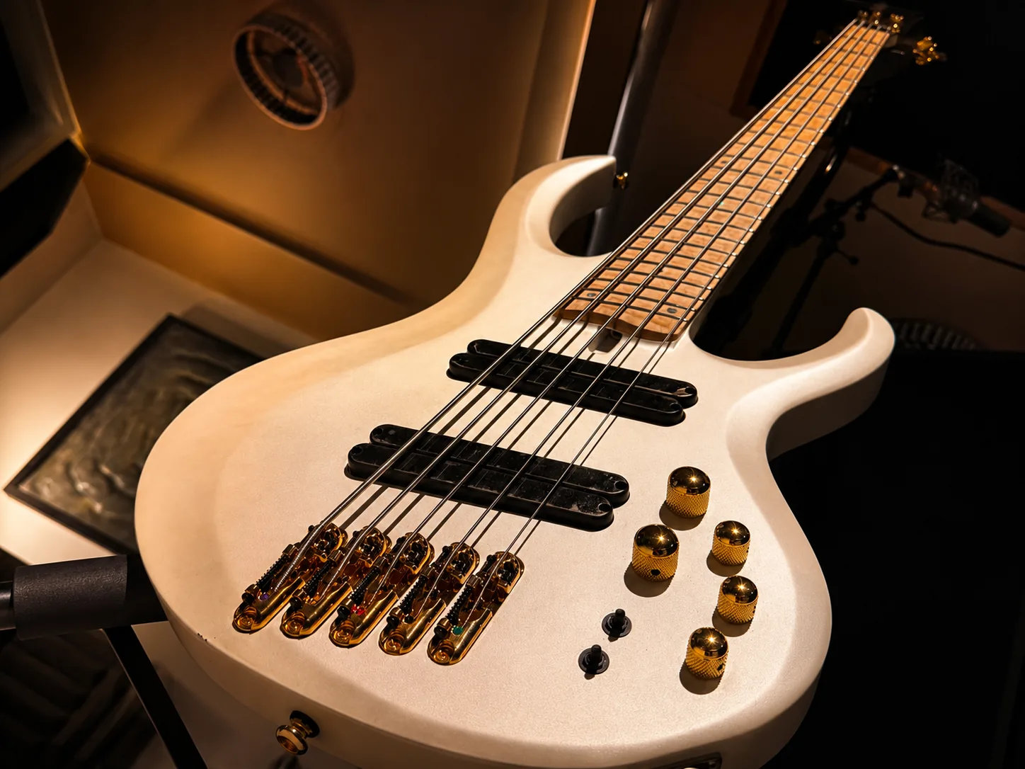 Bass guitar detail